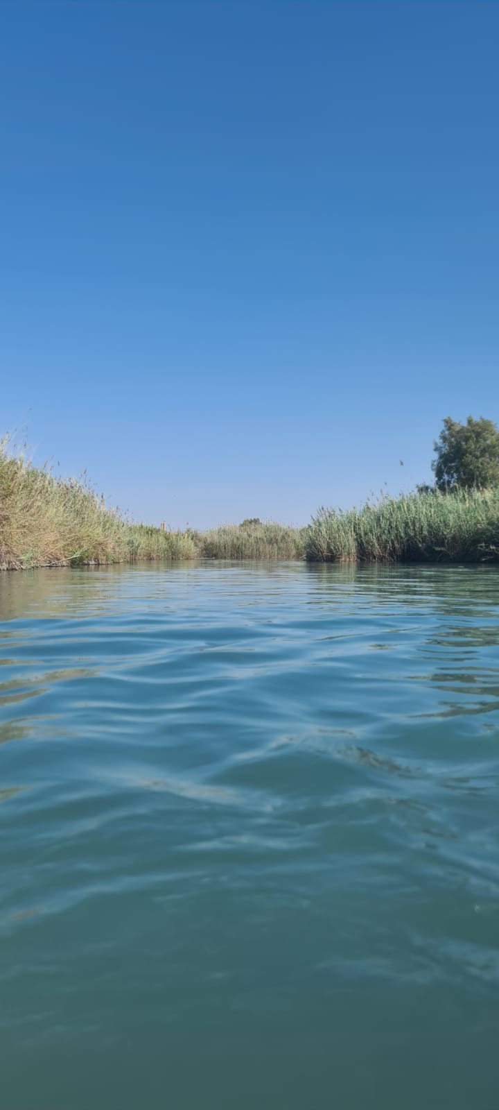 حياتي المزهره by RAMA Abo mokh - Illustrated by Rama Abo Mokh - Ourboox.com