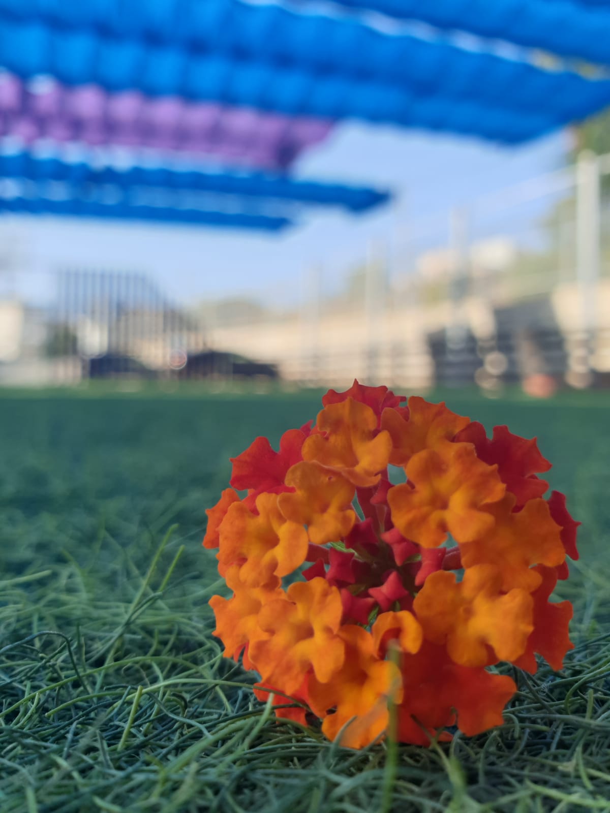 حياتي المزهره by RAMA Abo mokh - Illustrated by Rama Abo Mokh - Ourboox.com