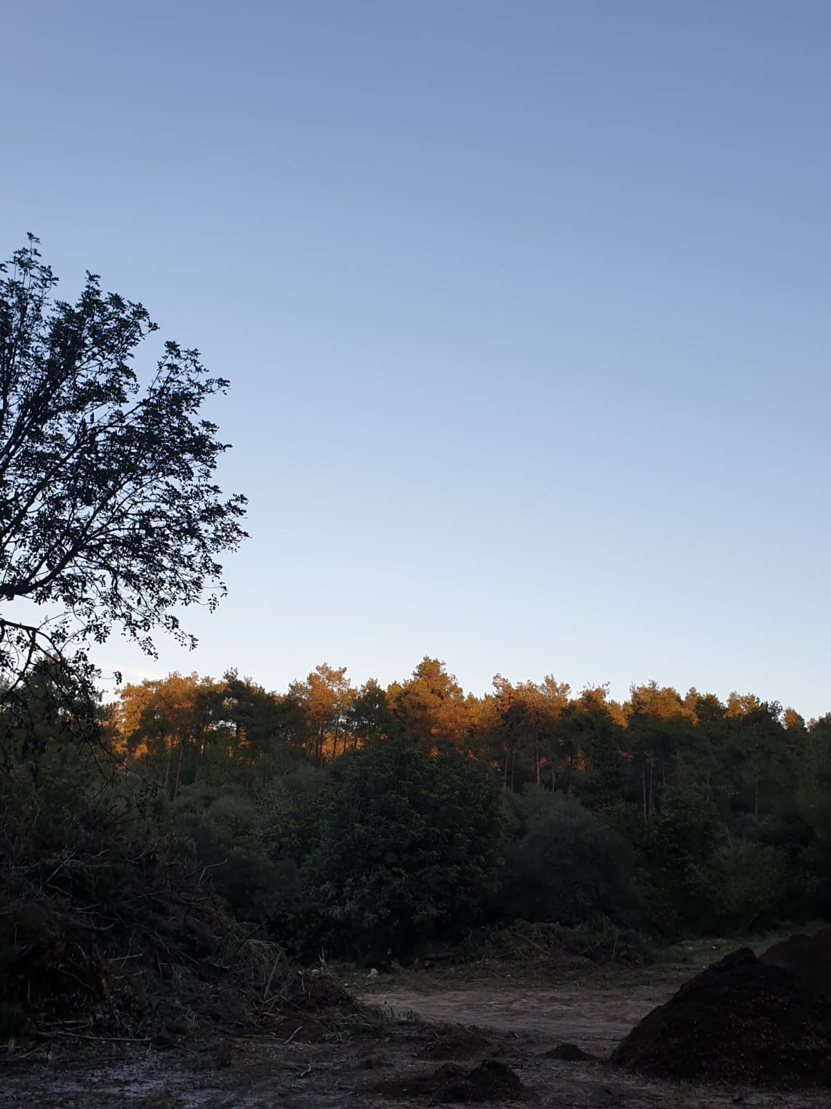 حياتي المزهره by RAMA Abo mokh - Illustrated by Rama Abo Mokh - Ourboox.com