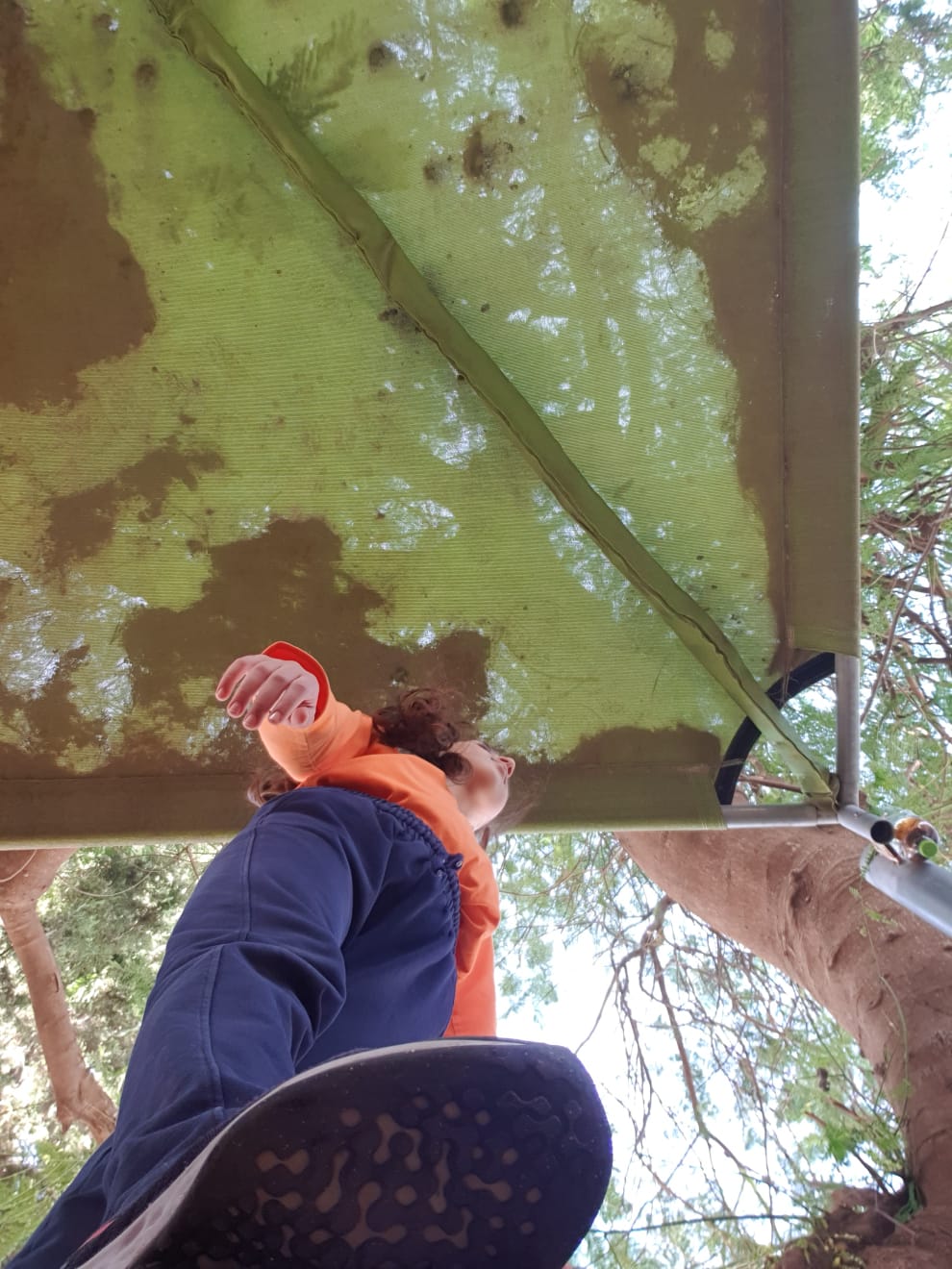 حياتي المزهره by RAMA Abo mokh - Illustrated by Rama Abo Mokh - Ourboox.com