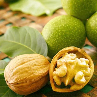 Лечебни растения by Nikolay Petkov - Ourboox.com