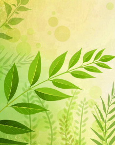 Лечебни растения by Nikolay Petkov - Ourboox.com