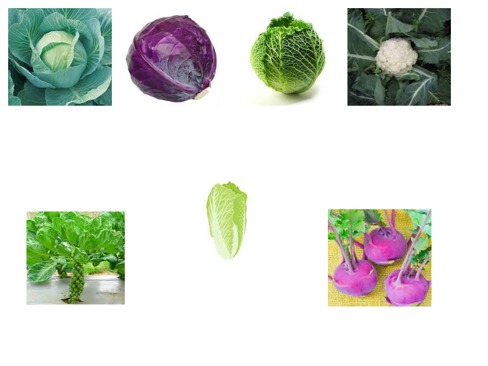 Виробниче навчання by Liudmyla Andrejcenko - Ourboox.com