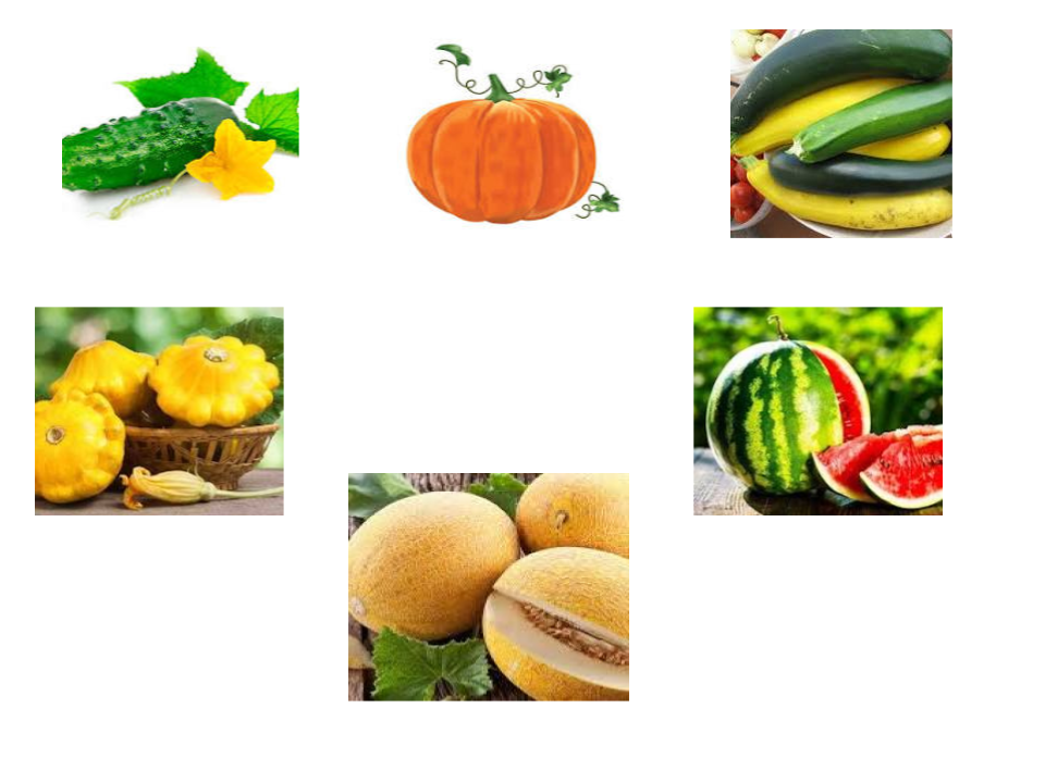 Виробниче навчання by Liudmyla Andrejcenko - Ourboox.com