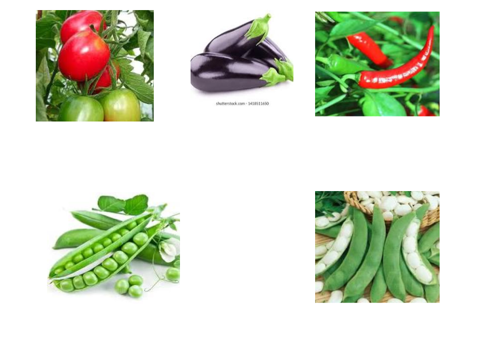 Виробниче навчання by Liudmyla Andrejcenko - Ourboox.com