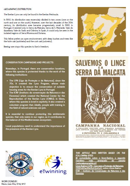 Connected to nature by Kati Bücs - Illustrated by "I see you