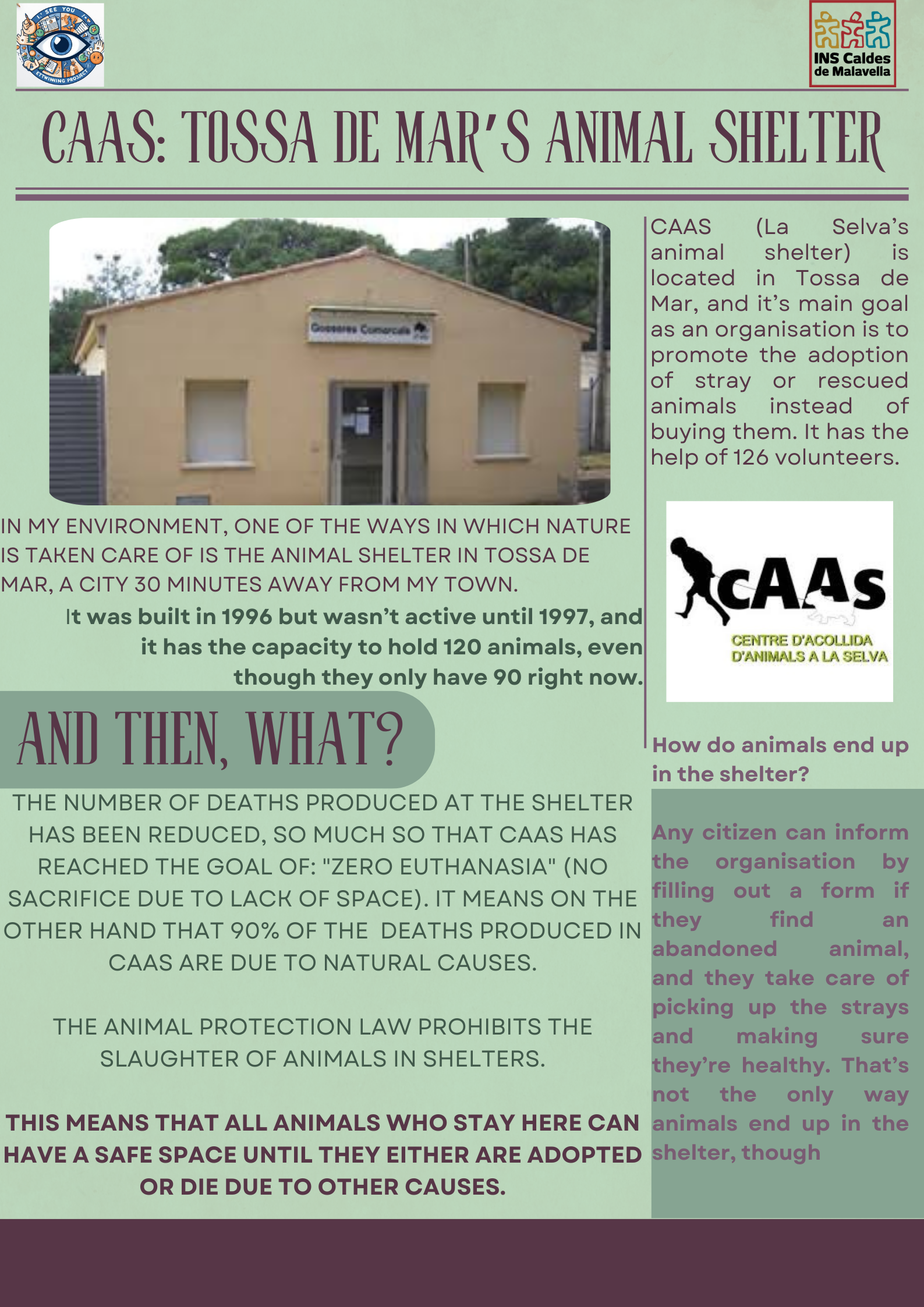 Connected to nature by Kati Bücs - Illustrated by "I see you