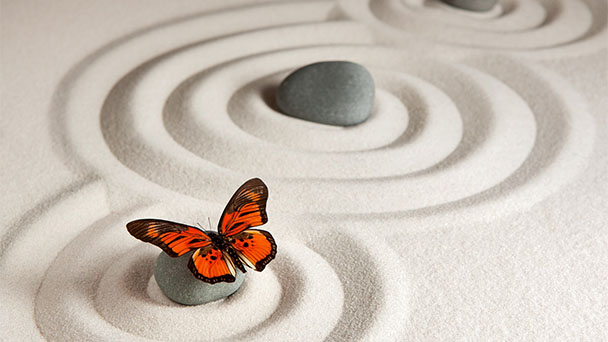 Психологічна аптечка самодопомоги у воєнний час Херсонського НВК №56 by Надєєва Ольга - Illustrated by Самодопомога у збереженні внутрішньої міцності. - Ourboox.com