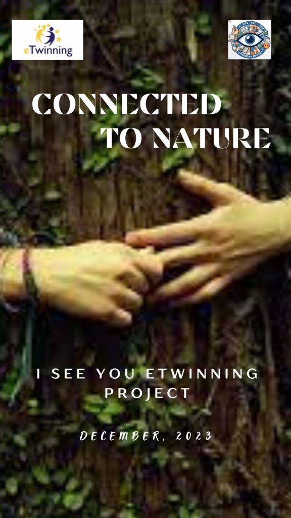 Connected to nature by Kati Bücs - Illustrated by 