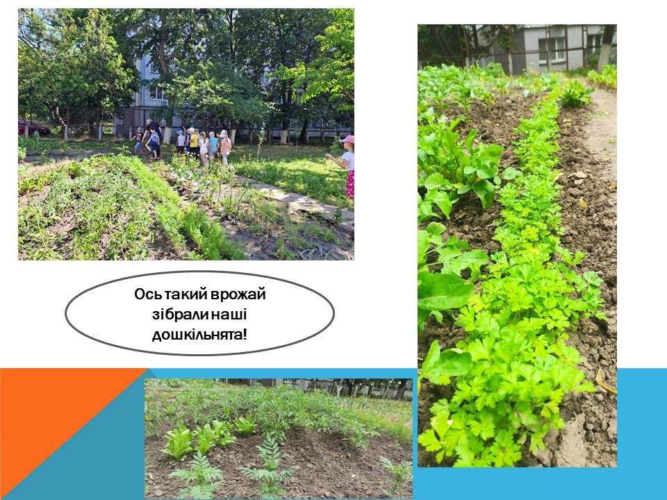 «STREAM- лабараторія « Чомусики» дитяче експерементування та винахідництво» by Vita - Ourboox.com