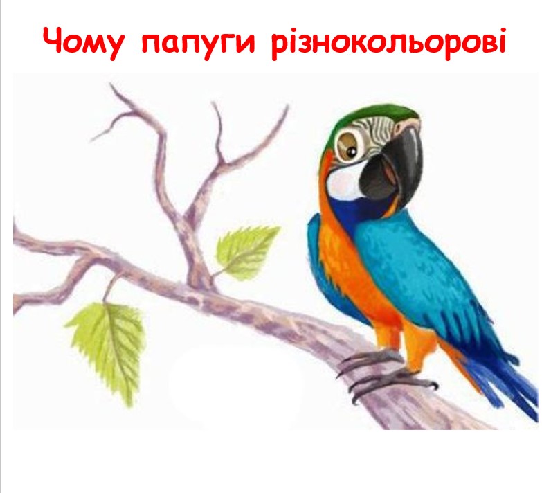  by YelenaTur  - Illustrated by Олена Турчина - Ourboox.com