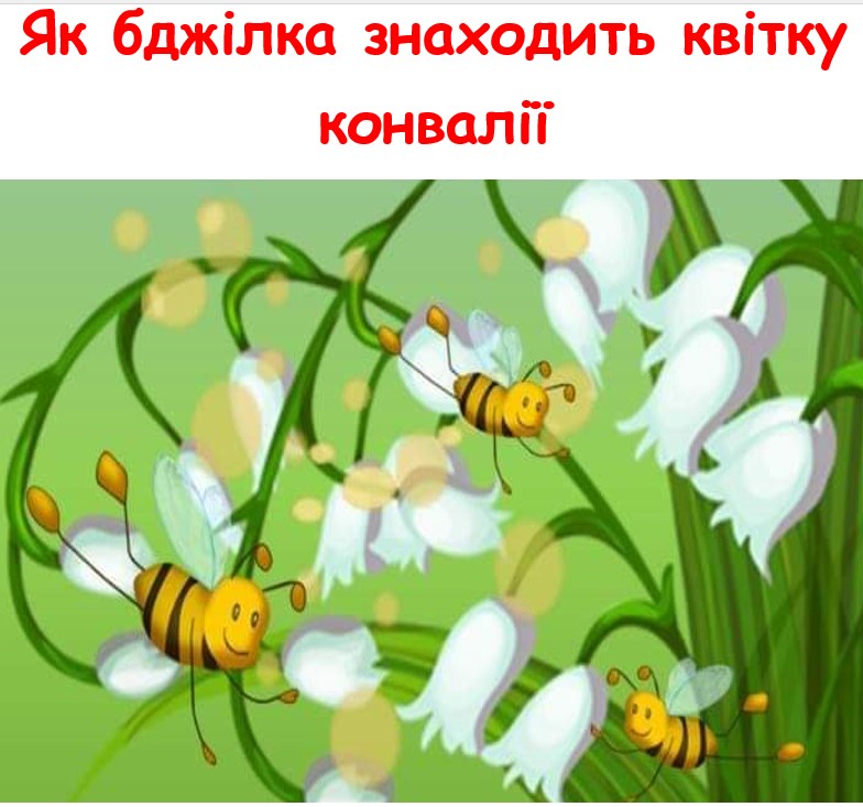  by YelenaTur  - Illustrated by Олена Турчина - Ourboox.com