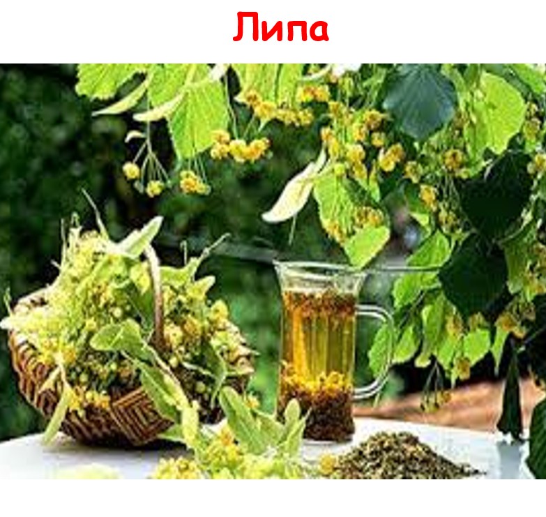  by YelenaTur  - Illustrated by Олена Турчина - Ourboox.com