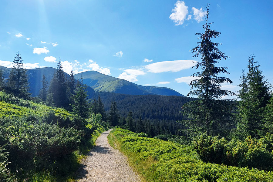 The Amazing Carpathians by Tarasova Natali - Ourboox.com