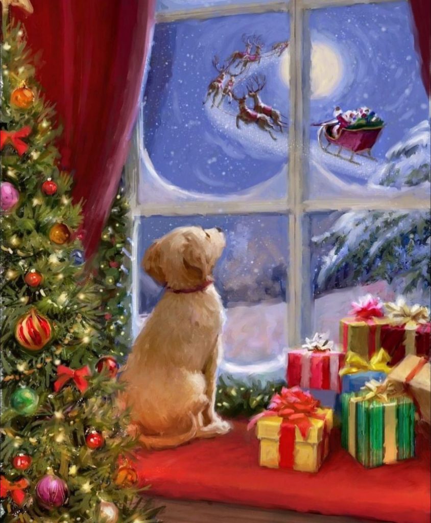 Бажання на Різдво by Myroslava - Ourboox.com