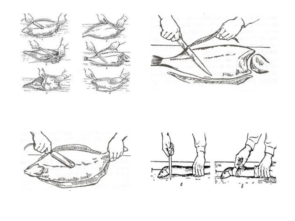 Дистанційні уроки виробничого навчання. by Світлана Куца - Illustrated by Ознайомлення із закладом ресторанного господарства. - Ourboox.com