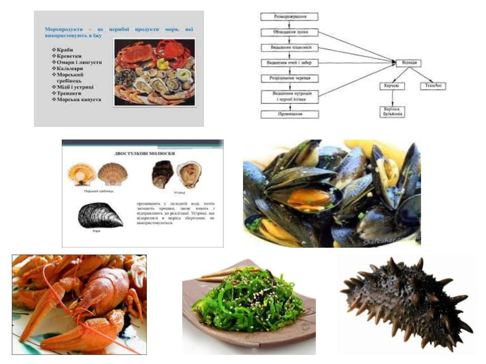 Дистанційні уроки виробничого навчання. by Світлана Куца - Illustrated by Ознайомлення із закладом ресторанного господарства. - Ourboox.com