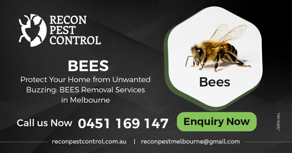Pest Control Melbourne by pestcontrolmelbourne  - Ourboox.com