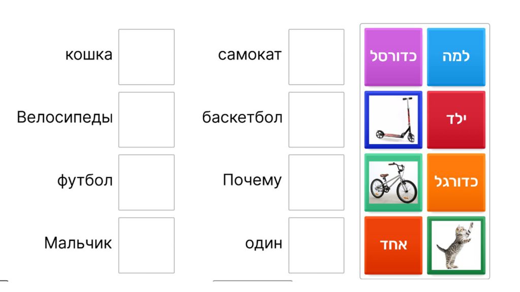 קמפוסים ג’ ד’ שלמון by salmon - Illustrated by בי"ס שלמון קמפוסים - Ourboox.com
