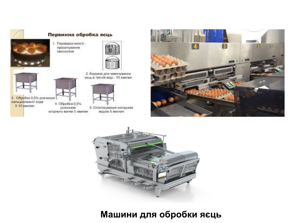 Дистанційні уроки виробничого навчання. by Світлана Куца - Illustrated by Ознайомлення із закладом ресторанного господарства. - Ourboox.com