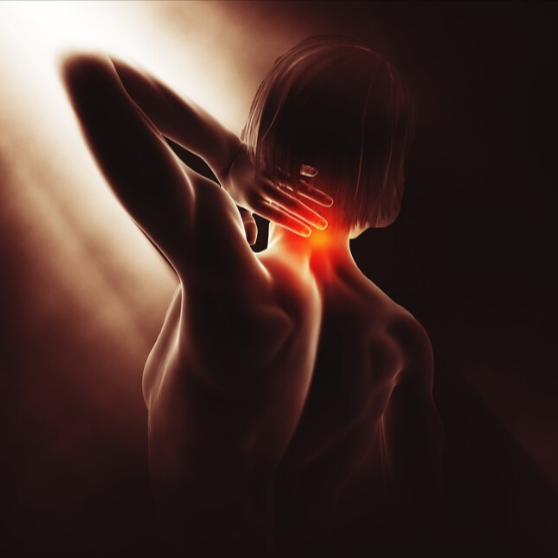 ConoCB2 Benefits – Real Benefits, Side Effects, Cost And Customer Reviews by ConoCB Reviews - Ourboox.com