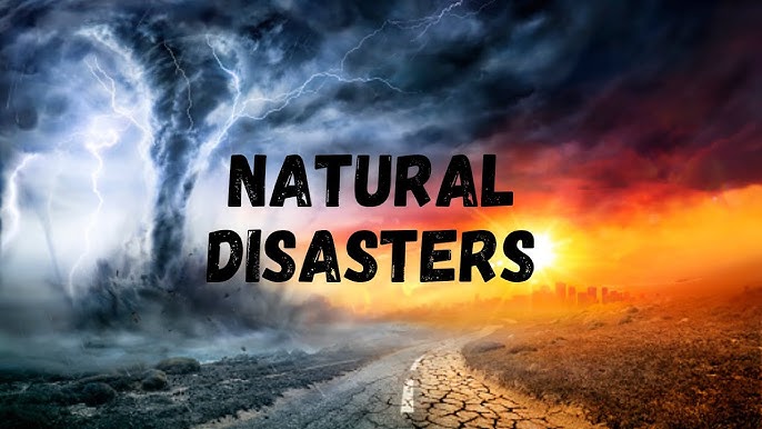 My Vocabulary by Levchenko Nikita - Ourboox.com