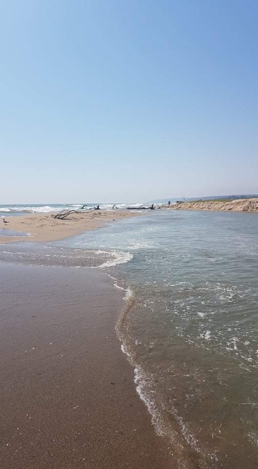 Търся сред звездите усмивката на твоите очи by Anna Dyulgerova - Illustrated by Анна Дюлгерова - Ourboox.com