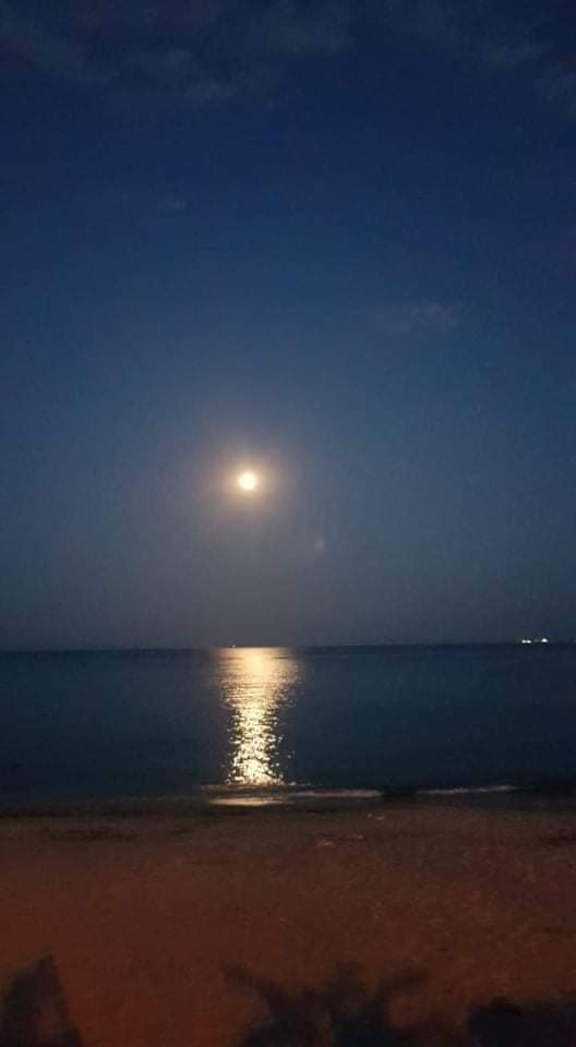 Търся сред звездите усмивката на твоите очи by Anna Dyulgerova - Illustrated by Анна Дюлгерова - Ourboox.com