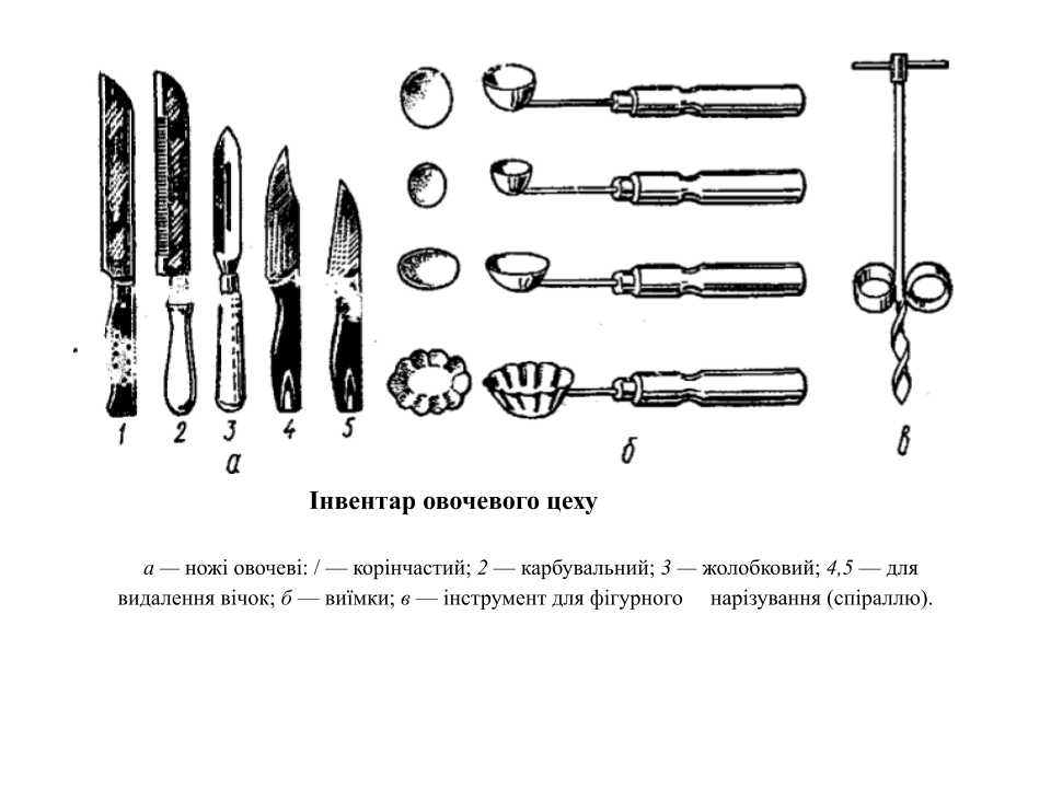 Дистанційні уроки виробничого навчання. by Світлана Куца - Illustrated by Ознайомлення із закладом ресторанного господарства. - Ourboox.com
