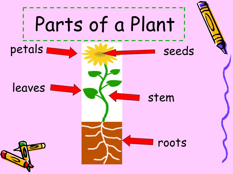 EDU315 eBook by Allison Walker - Ourboox.com