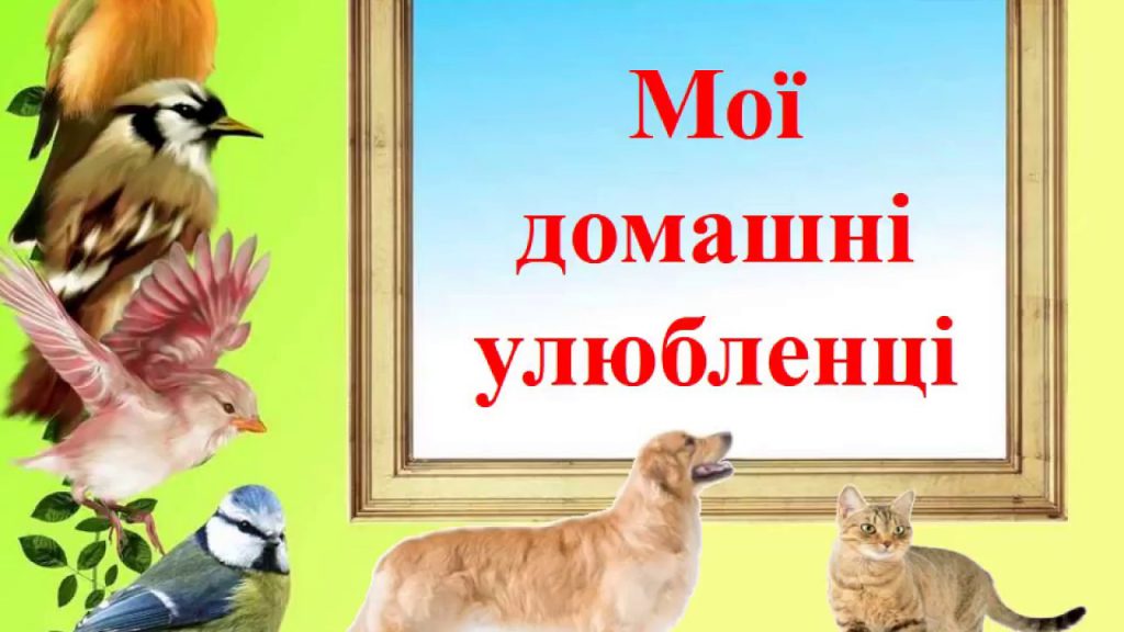 Мої домашні улюбленці by Zhanna - Illustrated by Учні та батьки 1класу - Ourboox.com