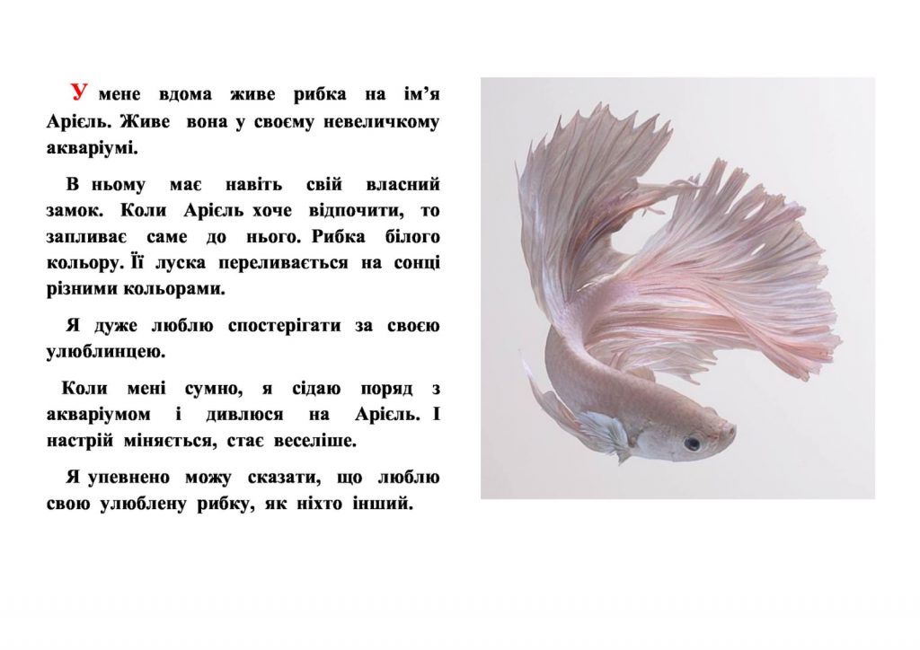 Мої домашні улюбленці by Zhanna - Illustrated by Учні та батьки 1класу - Ourboox.com