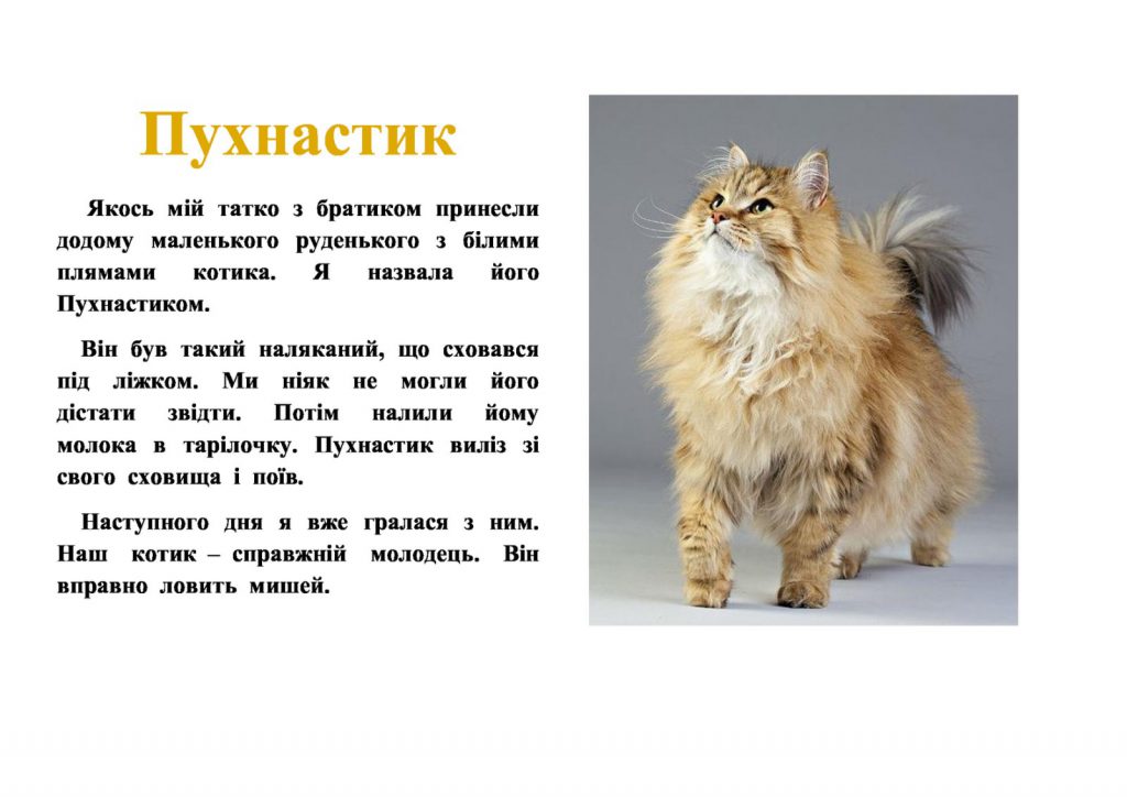 Мої домашні улюбленці by Zhanna - Illustrated by Учні та батьки 1класу - Ourboox.com