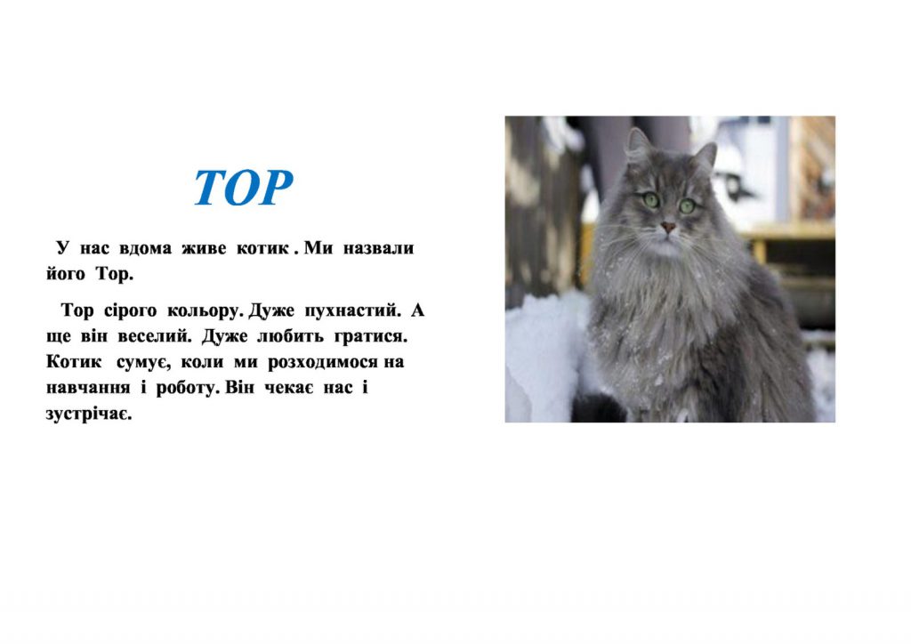 Мої домашні улюбленці by Zhanna - Illustrated by Учні та батьки 1класу - Ourboox.com