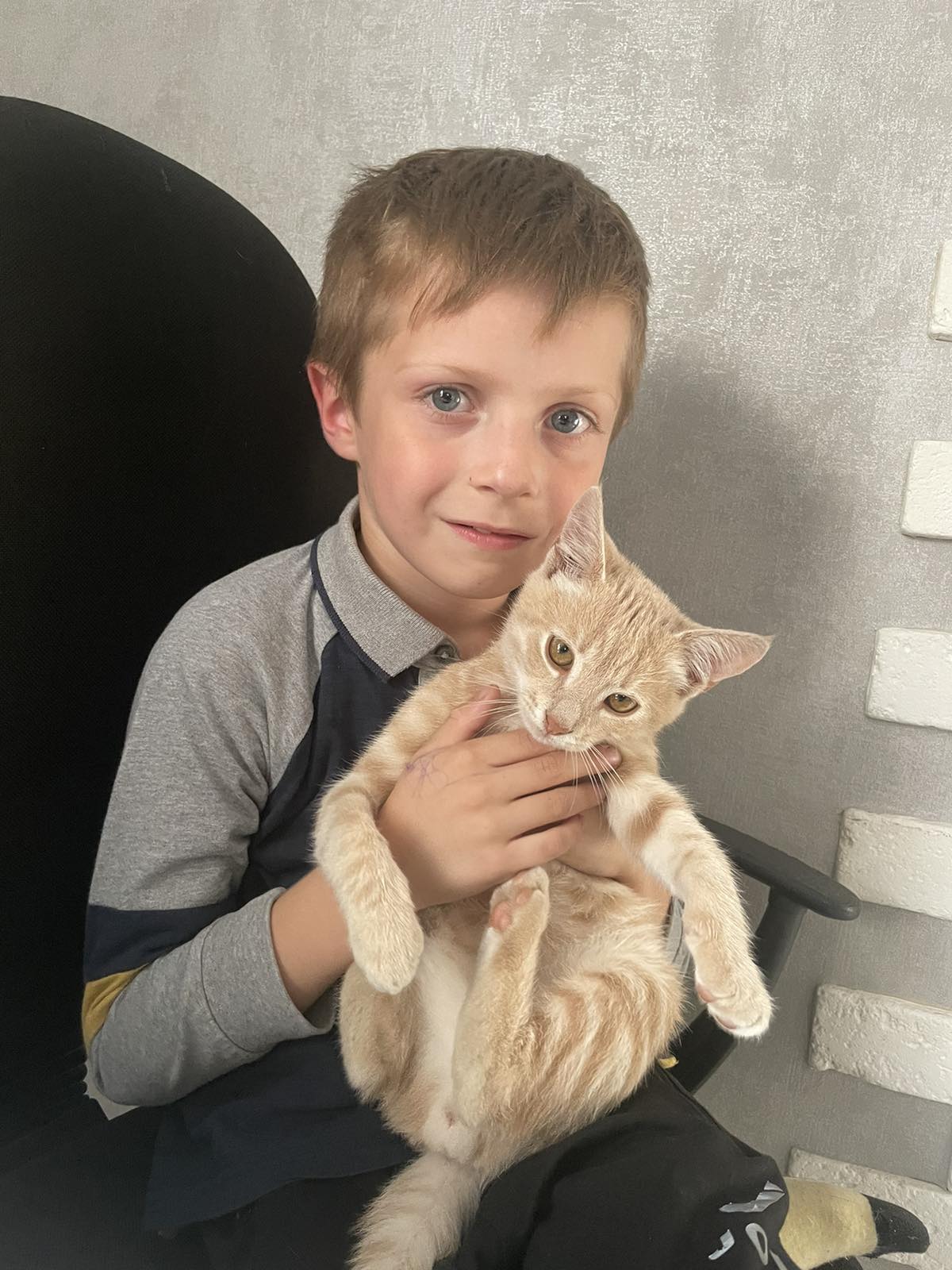 Мої домашні улюбленці by Zhanna - Illustrated by Учні та батьки 1класу - Ourboox.com