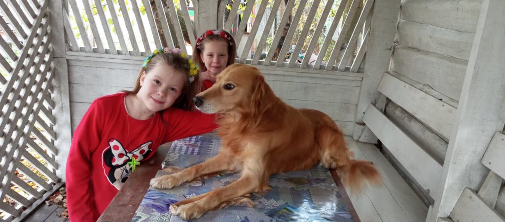 Мої домашні улюбленці by Zhanna - Illustrated by Учні та батьки 1класу - Ourboox.com