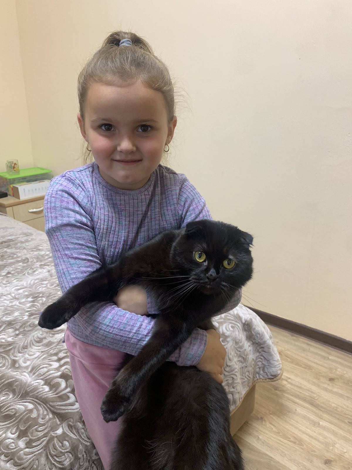 Мої домашні улюбленці by Zhanna - Illustrated by Учні та батьки 1класу - Ourboox.com