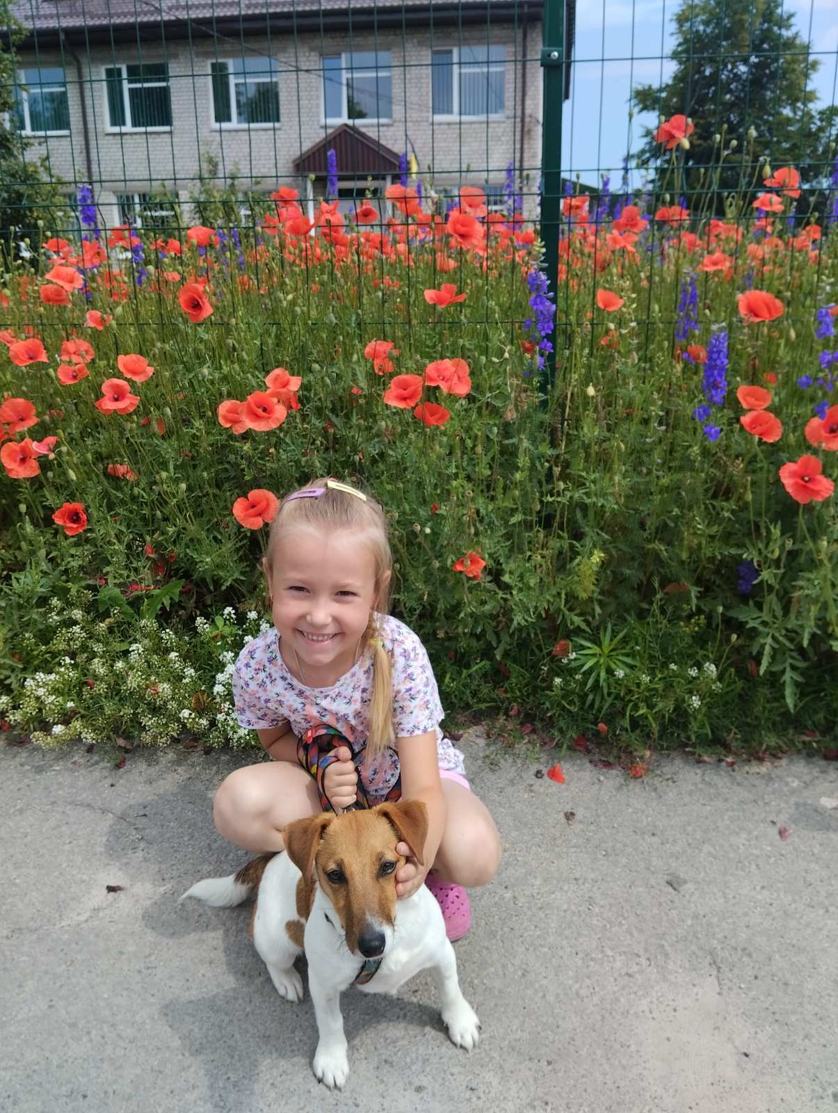 Мої домашні улюбленці by Zhanna - Illustrated by Учні та батьки 1класу - Ourboox.com