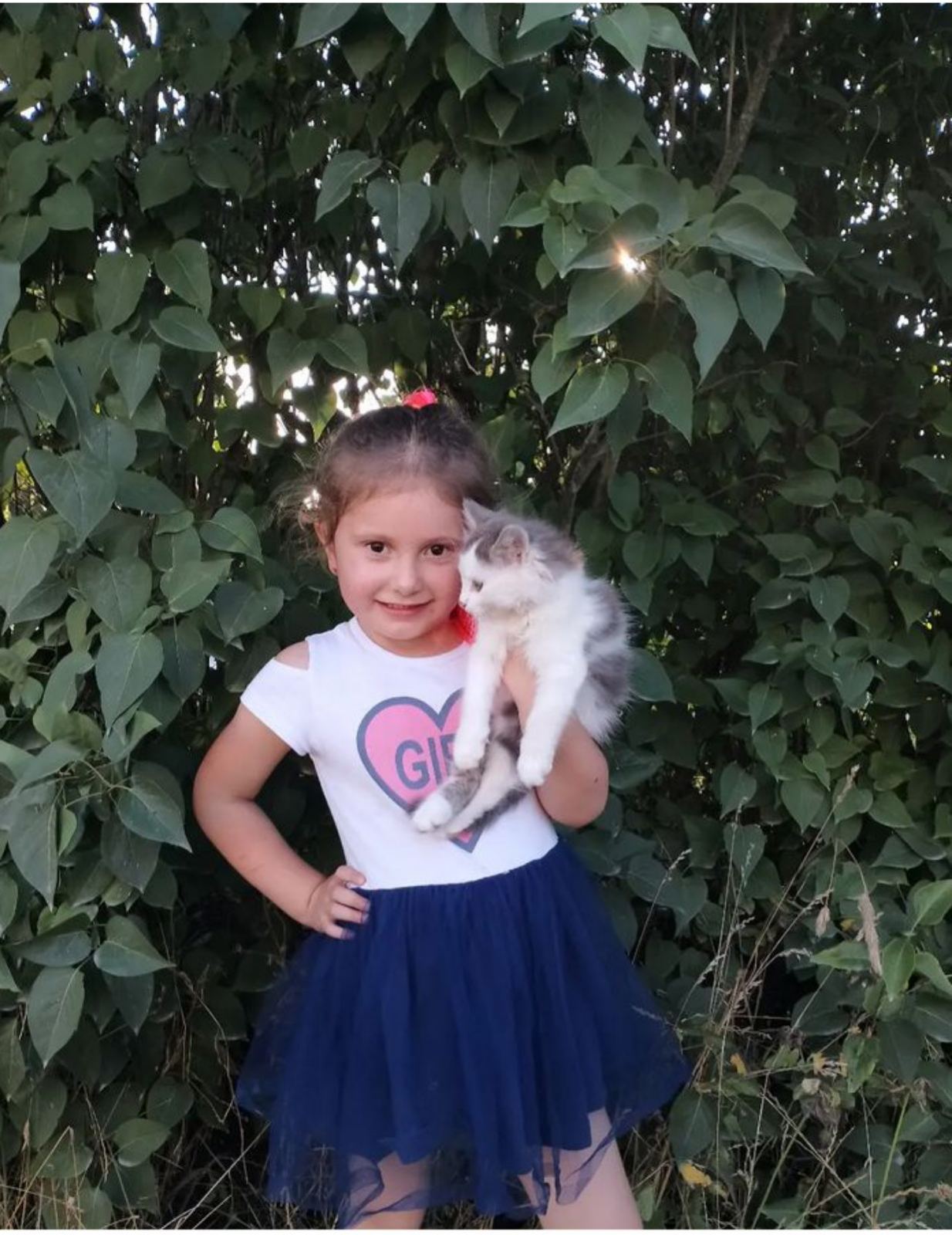 Мої домашні улюбленці by Zhanna - Illustrated by Учні та батьки 1класу - Ourboox.com