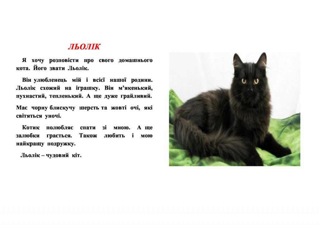 Мої домашні улюбленці by Zhanna - Illustrated by Учні та батьки 1класу - Ourboox.com