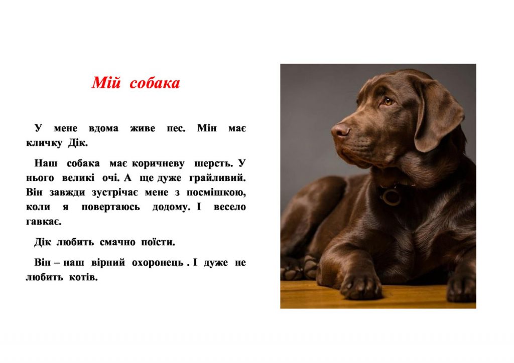 Мої домашні улюбленці by Zhanna - Illustrated by Учні та батьки 1класу - Ourboox.com