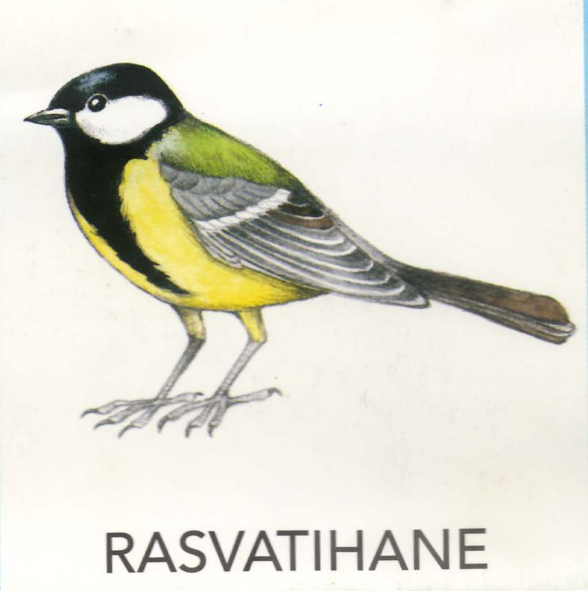 MEIE LINNUD by Mare Müürsepp - Illustrated by Koolibri kirjastuse õppevahend Esimene kooliraamat - Ourboox.com