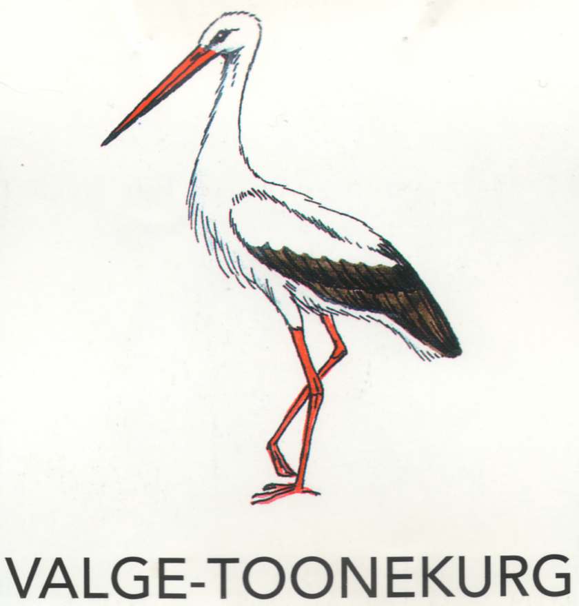 MEIE LINNUD by Mare Müürsepp - Illustrated by Koolibri kirjastuse õppevahend Esimene kooliraamat - Ourboox.com