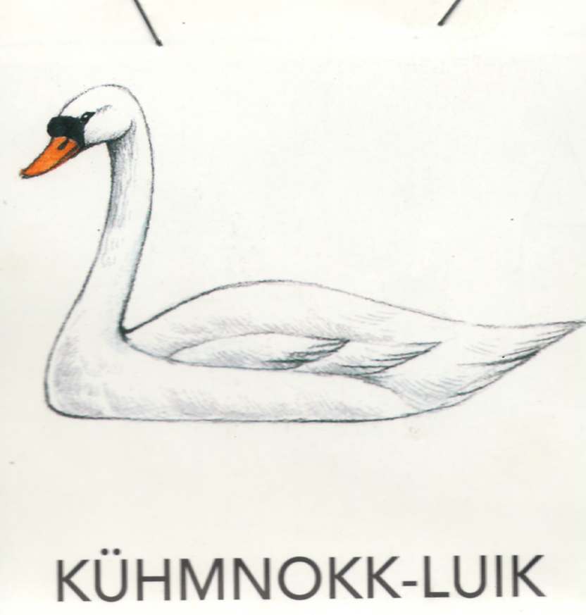 MEIE LINNUD by Mare Müürsepp - Illustrated by Koolibri kirjastuse õppevahend Esimene kooliraamat - Ourboox.com