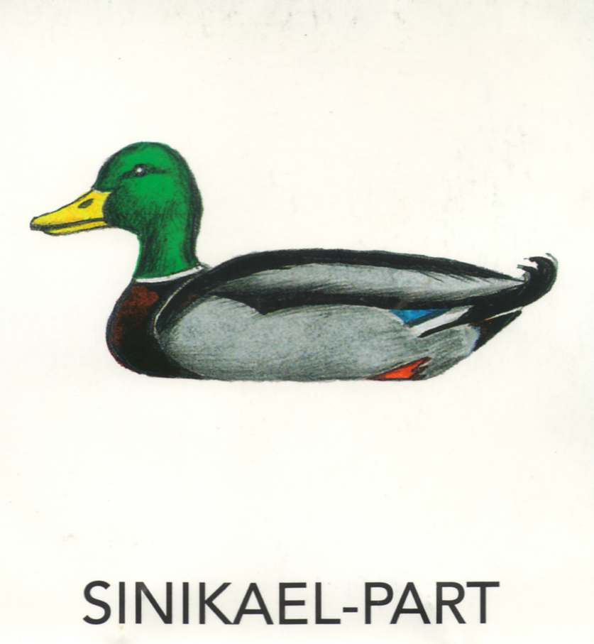 MEIE LINNUD by Mare Müürsepp - Illustrated by Koolibri kirjastuse õppevahend Esimene kooliraamat - Ourboox.com