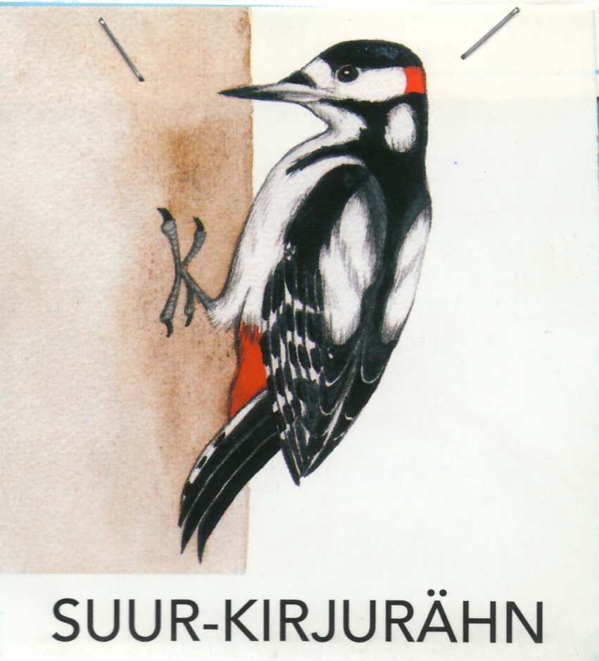 MEIE LINNUD by Mare Müürsepp - Illustrated by Koolibri kirjastuse õppevahend Esimene kooliraamat - Ourboox.com