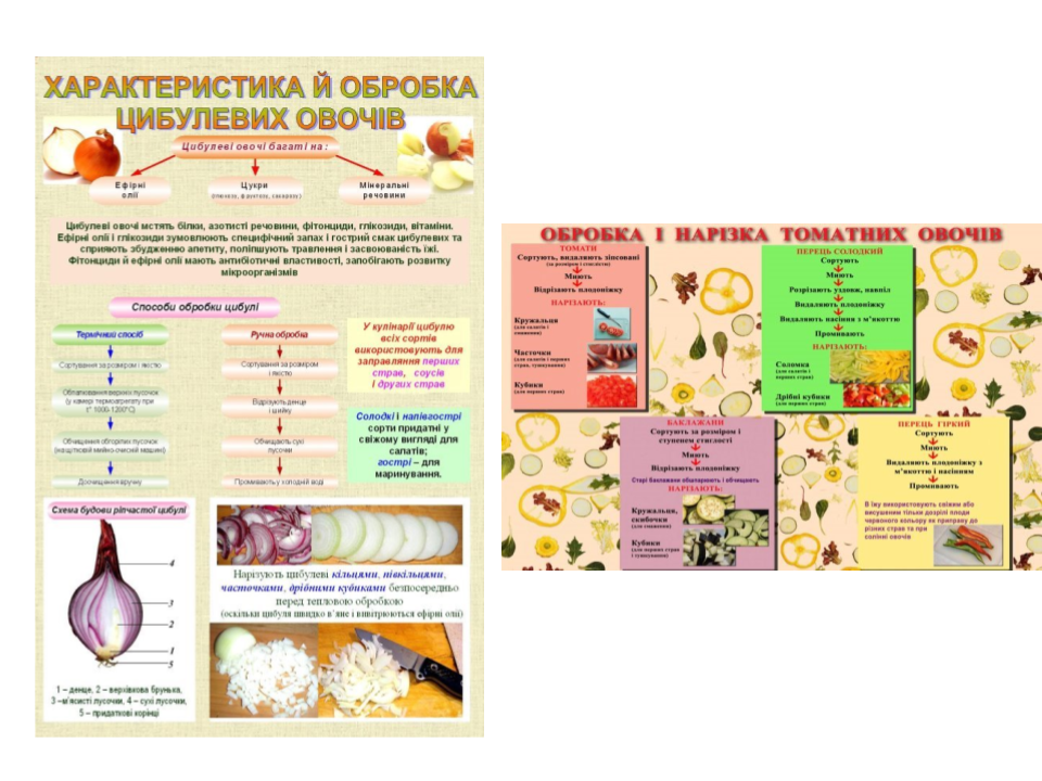 Дистанційні уроки виробничого навчання. by Світлана Куца - Illustrated by Ознайомлення із закладом ресторанного господарства. - Ourboox.com