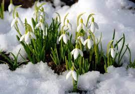 .Весна іде, красу несе by Вікторія Троценко - Ourboox.com