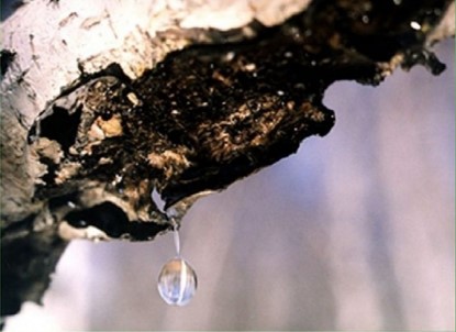 .Весна іде, красу несе by Вікторія Троценко - Ourboox.com