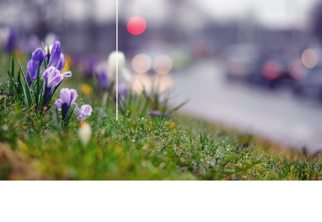 .Весна іде, красу несе by Вікторія Троценко - Ourboox.com